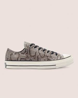 Converse Chuck 70 Reptile Semisove Nízke Tenisky Siva | CV-260UHV