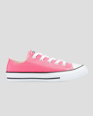 Converse Chuck Taylor All Star Seasonal Colour Nízke Tenisky Ruzove | CV-153XQW