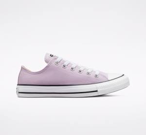 Converse Chuck Taylor All Star Seasonal Color Nízke Tenisky Lavendel | CV-165OAT