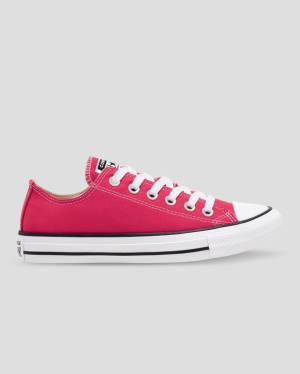 Converse Chuck Taylor All Star Seasonal Colour Nízke Tenisky Ruzove | CV-328FUQ