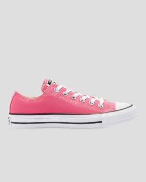 Converse Chuck Taylor All Star Seasonal Colour Nízke Tenisky Ruzove | CV-713FNW