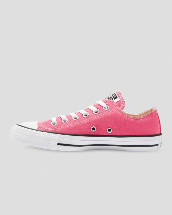 Converse Chuck Taylor All Star Seasonal Colour Nízke Tenisky Ruzove | CV-540RFI