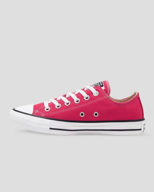 Converse Chuck Taylor All Star Seasonal Colour Nízke Tenisky Ruzove | CV-683PZY