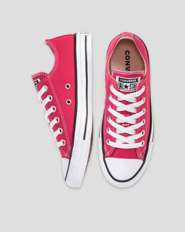 Converse Chuck Taylor All Star Seasonal Colour Nízke Tenisky Ruzove | CV-683PZY